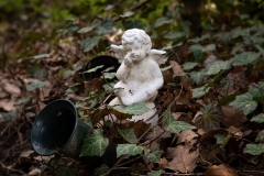 Nordfriedhof_April_2018#4-9273
