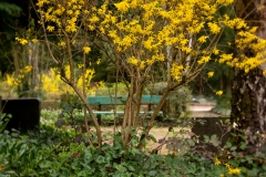 Nordfriedhof_April_2018#42-9424