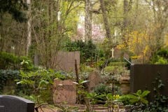 Nordfriedhof_April_2018#47-9433