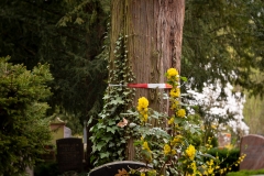 Nordfriedhof_April_2018#48-9435