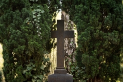 Nordfriedhof_April_2018#5-9277