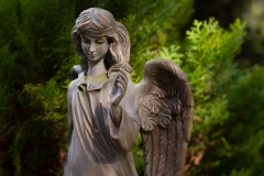 Nordfriedhof_April_2018#6-9284