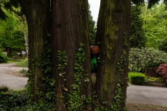NordFriedhof_April2420