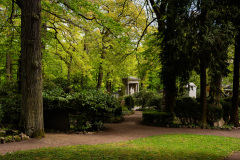 NordFriedhof_April245