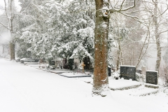 Wiesbaden Nordfriedhof_Dezember_0002