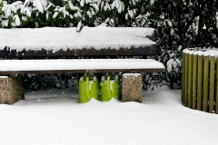 Wiesbaden Nordfriedhof_Dezember_0003