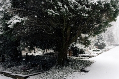 Wiesbaden Nordfriedhof_Dezember_0005