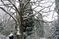 Wiesbaden Nordfriedhof_Dezember_0009