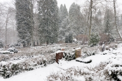 Wiesbaden Nordfriedhof_Dezember_0010