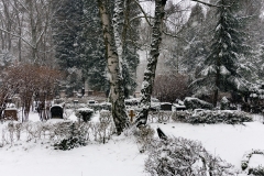 Wiesbaden Nordfriedhof_Dezember_0011