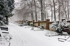 Wiesbaden Nordfriedhof_Dezember_0013