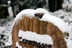 Wiesbaden Nordfriedhof_Dezember_0014