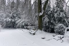 Wiesbaden Nordfriedhof_Dezember_0017