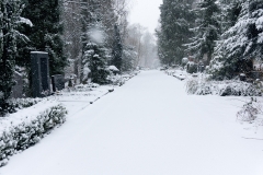 Wiesbaden Nordfriedhof_Dezember_0018