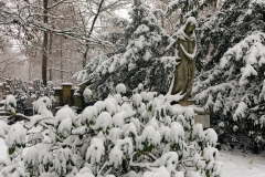 Wiesbaden Nordfriedhof_Dezember_0020