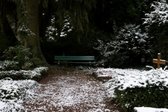 nordfriedhof_feb#14-6605