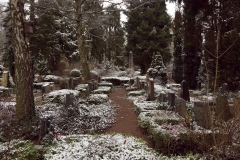 nordfriedhof_feb18#8-6589