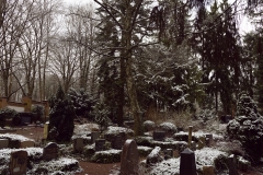 nordfriedhof_feb18#9-6590