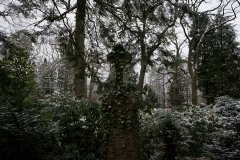 nordfriedhof_feb#25-6663