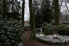 nordfriedhof_feb#26-6667