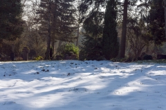 nordfriedhof_feb#31-6954