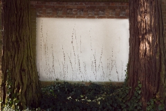 nordfriedhof_feb#37-6989