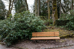 Wiesbaden_Nordfriedhof_Feb2