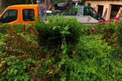 Nordfriedhof_Juli#13-3948