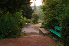 Nordfriedhof_Juli#14-3954