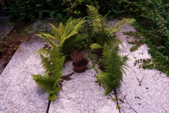 Nordfriedhof_Juli#16-3973