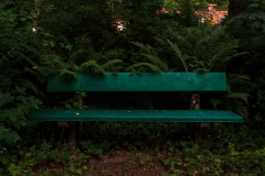 Nordfriedhof_Juli#19-3980