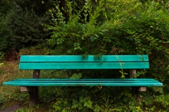 Nordfriedhof_Juli#22-3997