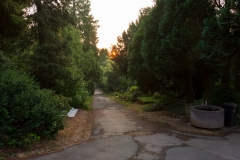 Nordfriedhof_Juli#25-4013