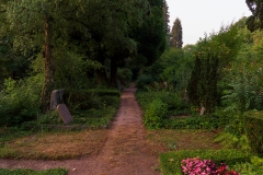 Nordfriedhof_Juli#27-4026