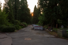 Nordfriedhof_Juli#29-4037