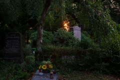 Nordfriedhof_Juli#31-4063