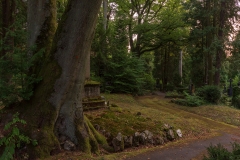 Nordfriedhof_Juli#32-4068