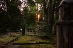 Nordfriedhof_Juli#34-4078