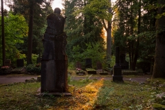 Nordfriedhof_Juli#36-4095