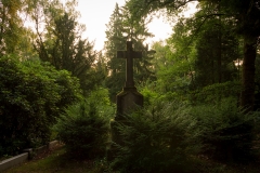 Nordfriedhof_Juli#38-4107