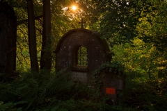 Nordfriedhof_Juli#41-4126