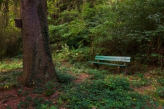 Nordfriedhof_Juli#43-4149