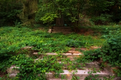 Nordfriedhof_Juli#44-4159