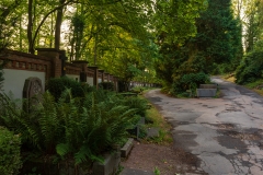 Nordfriedhof_Juli#45-4174