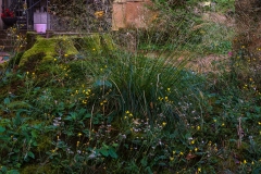 Nordfriedhof_Juli#48-4192