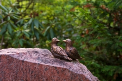 Nordfriedhof_Juli#51-4209