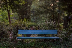 Nordfriedhof_Juli#54-4215