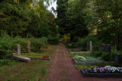 Nordfriedhof_Juli#55-4221