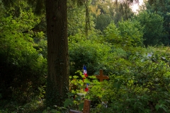 Nordfriedhof_Juli#56-4222