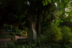 Nordfriedhof_Juli#58-4234